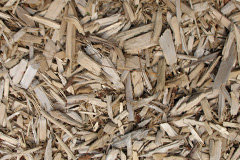 biomass boilers Adstone